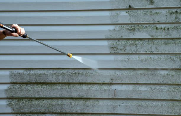 Best Mold Remediation for Specific Building Types in Wallis, TX